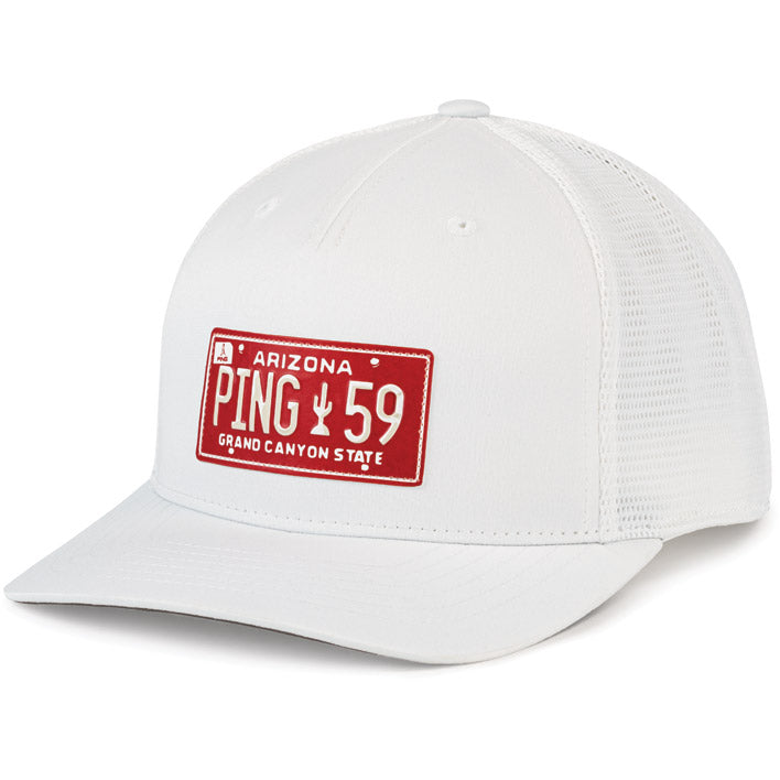 Ping License Plate Cap